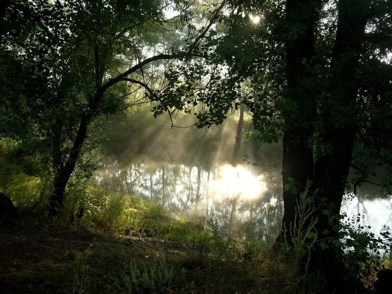 Галерея фото 2