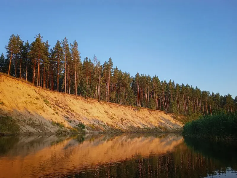 Галерея фото 5